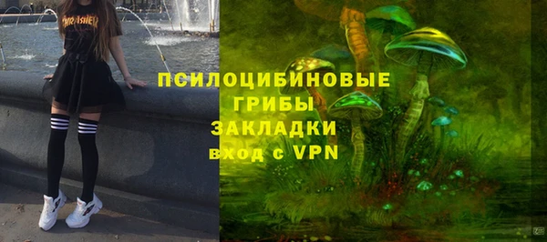 твердый Аркадак