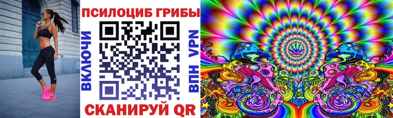 как найти закладки  Приморск  Псилоцибиновые грибы Magic Shrooms 
