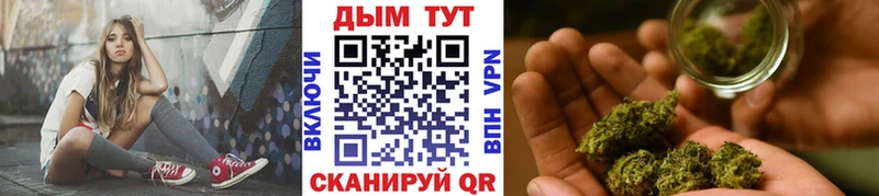 Каннабис семена  где продают наркотики  площадка какой сайт  Приморск 